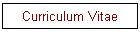 Curriculum Vitae